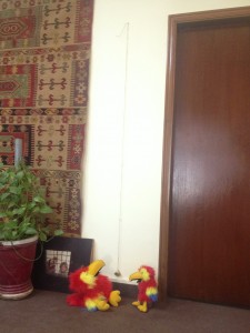 Zuzu and Zaza with the pneumonia pendulum