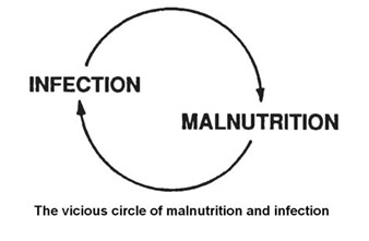 malnutrition infection