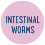 Intestinal-Worms-Text