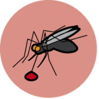 The circle icon for Malaria - an illustration of mosquito with a drop of blood on a dark pink background.