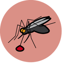 The circle icon for Malaria - an illustration of mosquito with a drop of blood on a dark pink background.