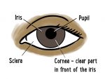 Eye_Health_Poster_02 (1)