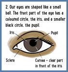 Eye_Health_Poster_02