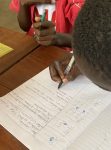 writing the action plan 2