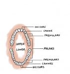 Oral_Health_Poster_1