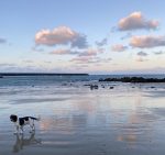 Braye Beach in November