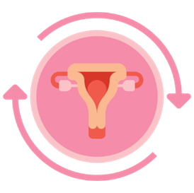 A drawing in pink of a uterus with two arrows circling it